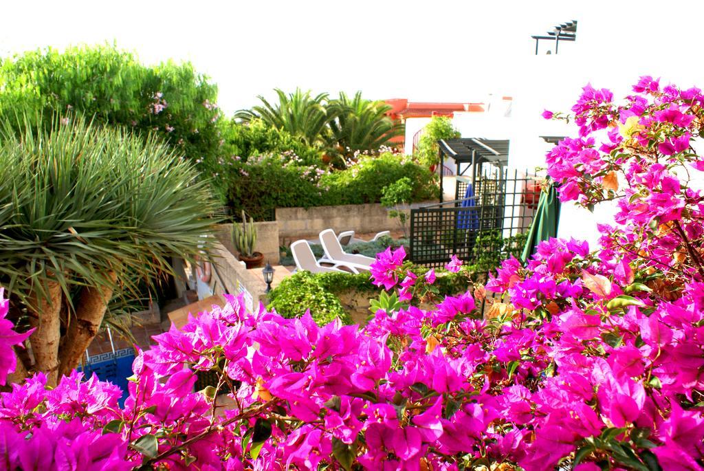 Casa San Miguel Apartment San Miguel de Abona Exterior photo